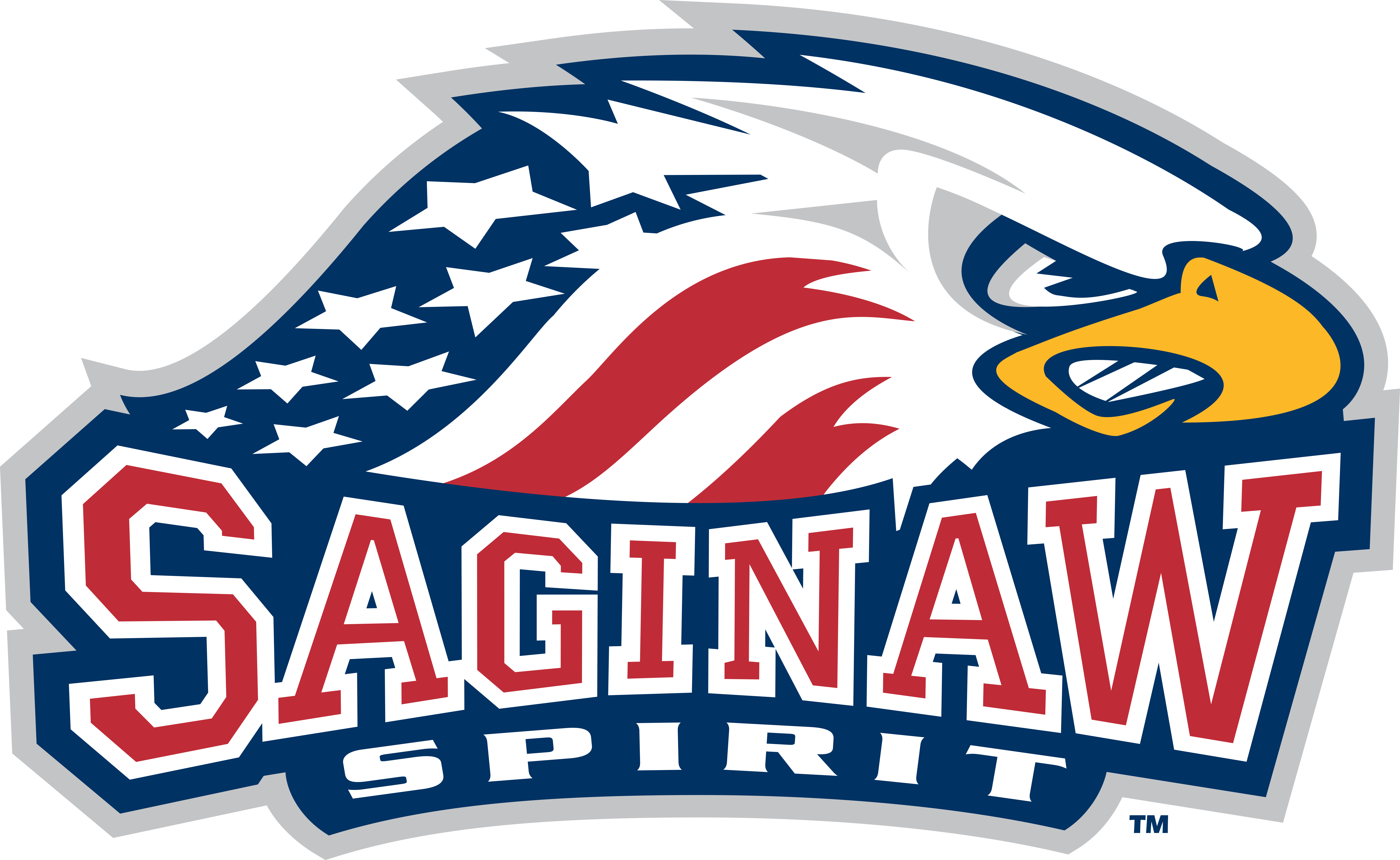 Saginaw Spirit vs. Peterborough Petes